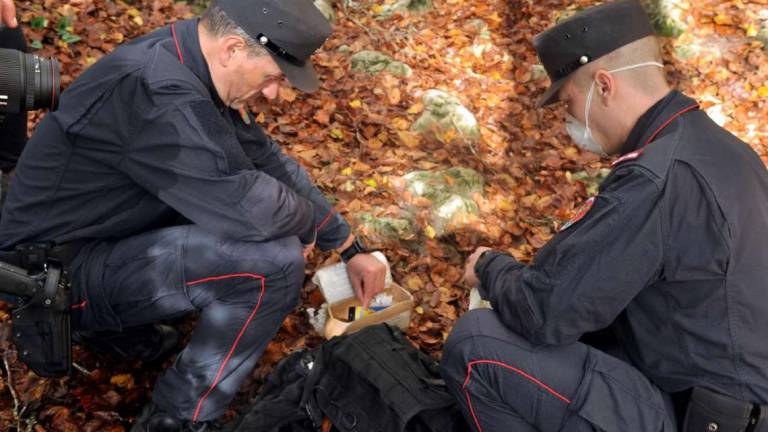 Santa Sofia, controlli nel Parco nazionale Santa Sofia, controlli nel Parco nazionale