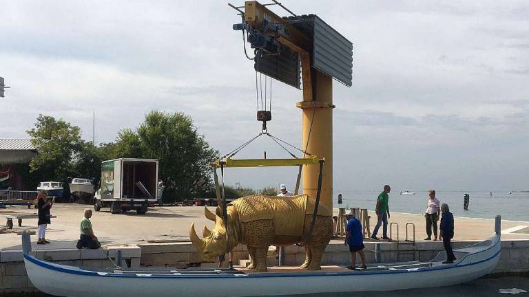 Rinoceronte ambasciatrice del Fellini Museum: esordio a Venezia Rinoceronte ambasciatrice del Fellini Museum: esordio a Venezia