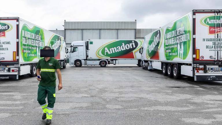 Furto di pallet da Amadori: 3 denunciati e un licenziato Furto di pallet da Amadori: 3 denunciati e un licenziato