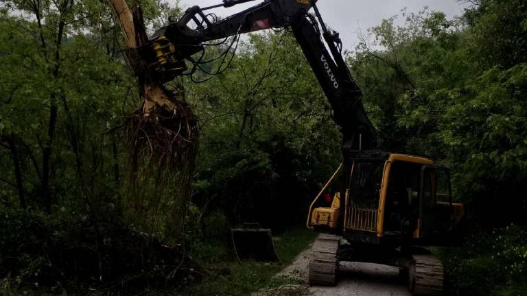 Cesena: strada bloccata dalla frana sulle colline di Roversano Cesena: strada bloccata dalla frana sulle colline di Roversano