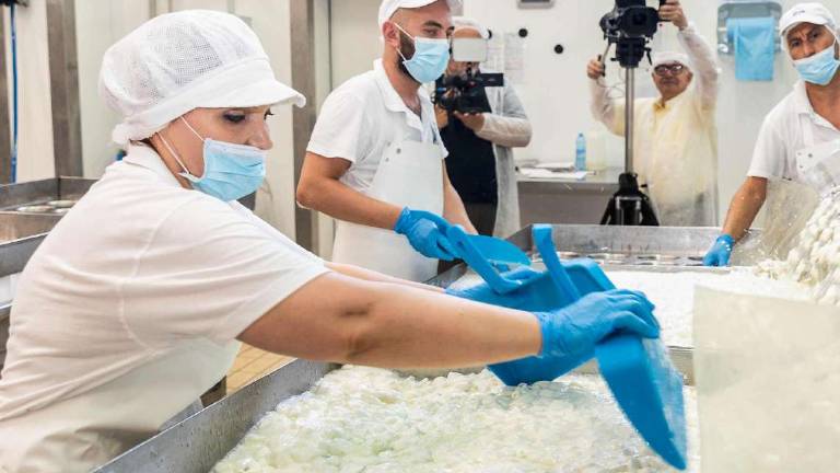 Tutto il gusto del buon latte: e ora si scommette sul gelato Tutto il gusto del buon latte: e ora si scommette sul gelato