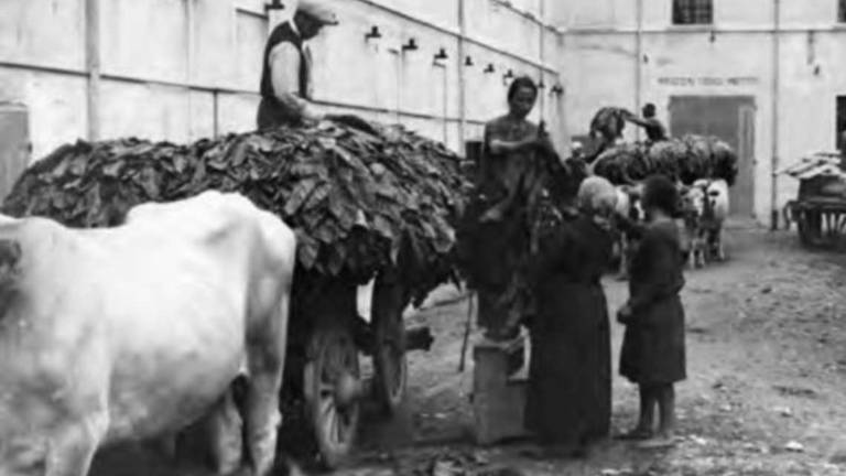 Cesena, il lavoro in Romagna secondo Urbini e Teodorani Cesena, il lavoro in Romagna secondo Urbini e Teodorani