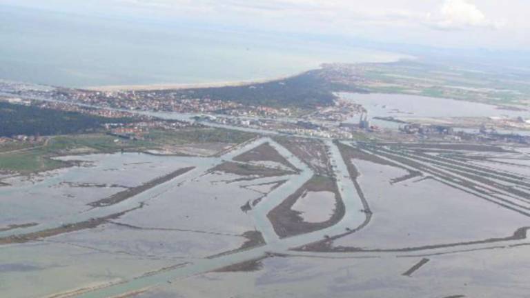 La giornata mondiale delle zone umide: preziose per la biodiversità La giornata mondiale delle zone umide: preziose per la biodiversità