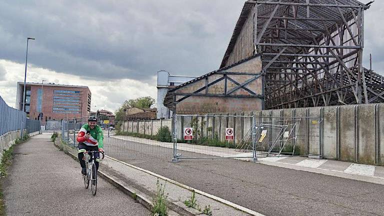Ciclabili, Ravenna studia il nuovo piano Ciclabili, Ravenna studia il nuovo piano