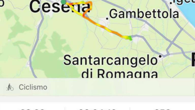 Cesena: le app su internet aiutano i ladri di preziose bici Cesena: le app su internet aiutano i ladri di preziose bici