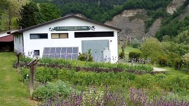 Il paradiso delle erbe: il giardino tra cucina e medicina Il paradiso delle erbe: il giardino tra cucina e medicina