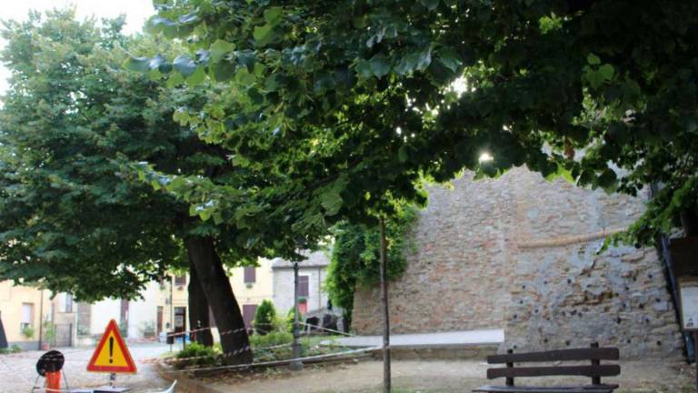 Per il tiglio di Monteleone sindaca e residenti fanno pace Per il tiglio di Monteleone sindaca e residenti fanno pace