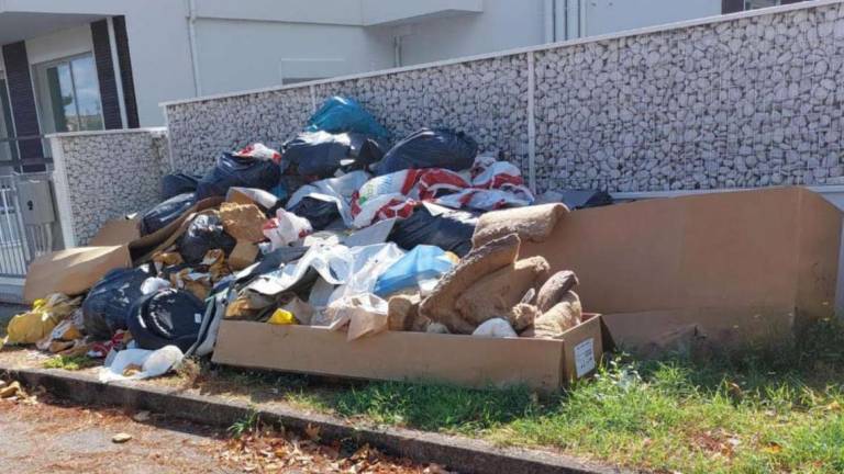 Forlì. L'abbandono dei rifiuti ai Romiti non si ferma Forlì. L'abbandono dei rifiuti ai Romiti non si ferma