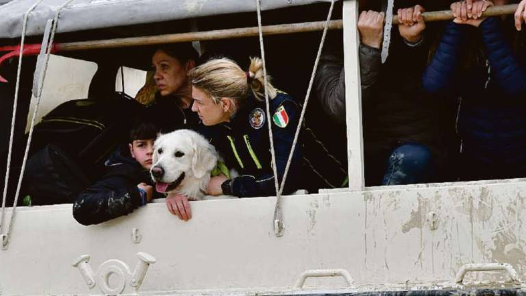 Alluvione a Forlì. Ci vorrà un anno prima di rientrare a casa Alluvione a Forlì. Ci vorrà un anno prima di rientrare a casa