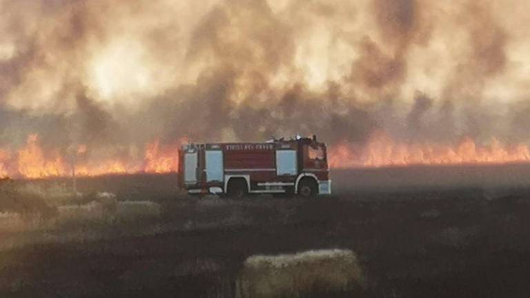 Cervia, incendio del Cab: è stato un ex dipendente. Condannato a tre anni e 10 mesi Cervia, incendio del Cab: è stato un ex dipendente. Condannato a tre anni e 10 mesi