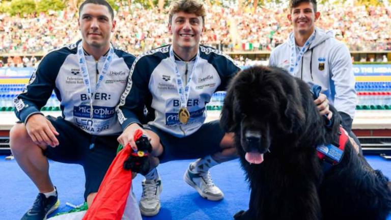 Nuoto, Cerasuolo: Volevo con forza questa medaglia Nuoto, Cerasuolo: Volevo con forza questa medaglia