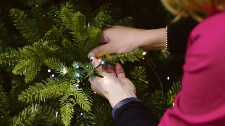 Passate le feste: come smaltire bene i rifiuti Passate le feste: come smaltire bene i rifiuti
