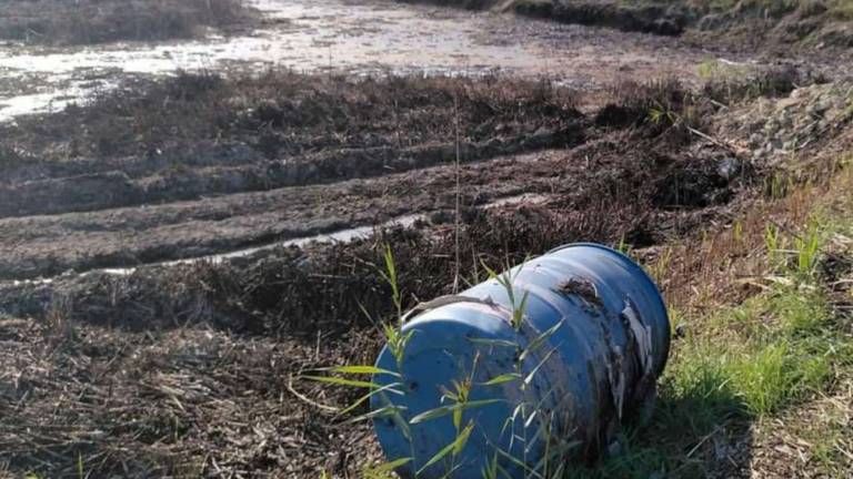 Faenza, bacino Lotras: Ancora un mese per la bonifica Faenza, bacino Lotras: Ancora un mese per la bonifica