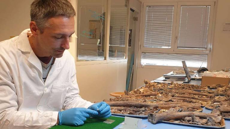 Una neonata di 10mila anni studiata nei laboratori ravennati Una neonata di 10mila anni studiata nei laboratori ravennati