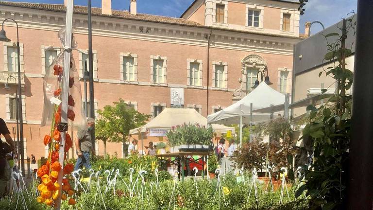 Ravenna in Fiore: il centro diventa un giardino Ravenna in Fiore: il centro diventa un giardino