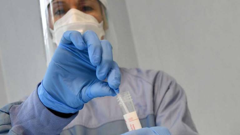 La prof si contagia: seconda media in quarantena a Cesena La prof si contagia: seconda media in quarantena a Cesena