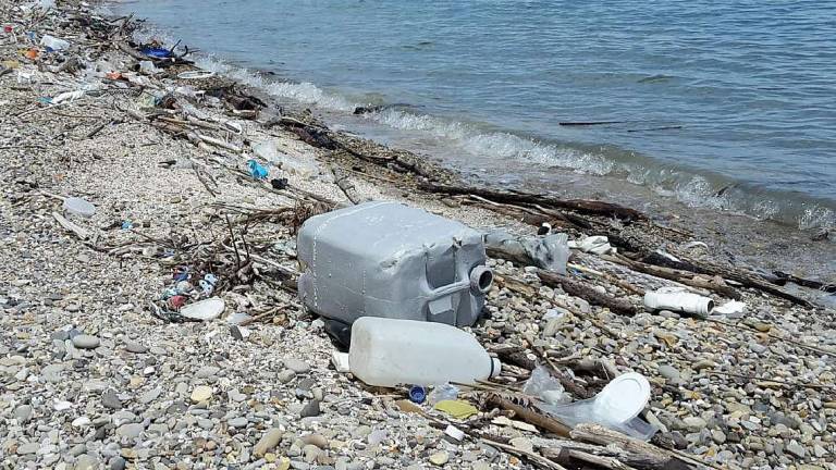 Le plastiche gettate in mare si concentrano poi lungo le coste Le plastiche gettate in mare si concentrano poi lungo le coste