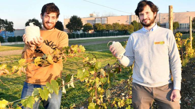 Forlì, plastica addio, è tempo di biodegradabili: Sabiomaterials all'avanguardia Forlì, plastica addio, è tempo di biodegradabili: Sabiomaterials all'avanguardia