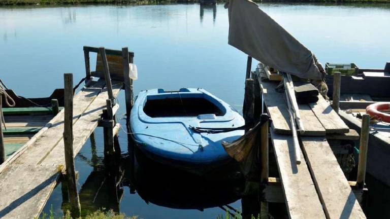 Ravenna: nuovi vandalismi in pialassa, Commissione in arrivo Ravenna: nuovi vandalismi in pialassa, Commissione in arrivo