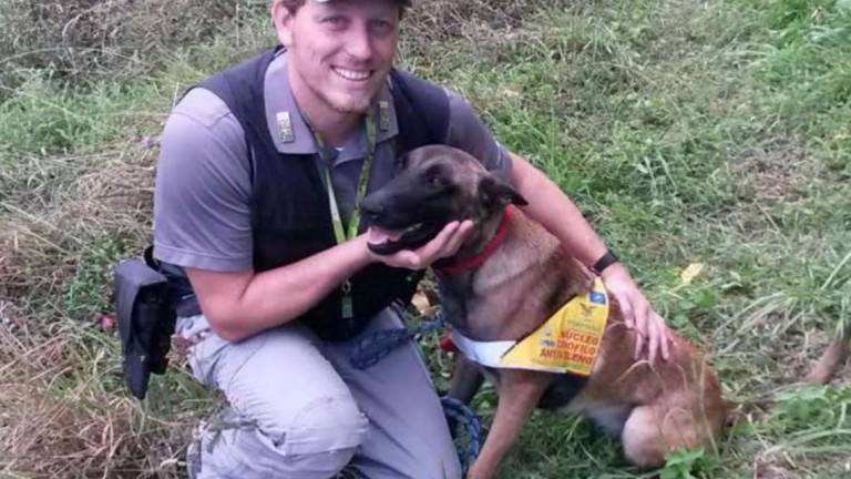 Morto Puma, il cane antiveleno delle foreste casentinesi Morto Puma, il cane antiveleno delle foreste casentinesi