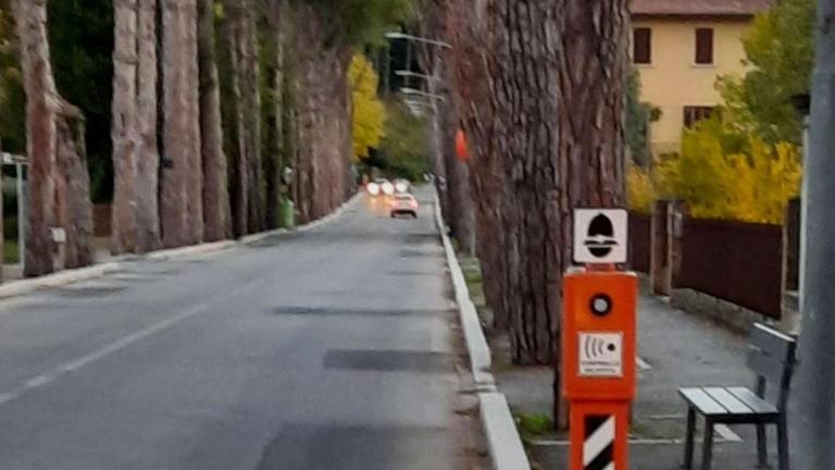 Dovadola, due velo ok installati sulla statale 67 Dovadola, due velo ok installati sulla statale 67