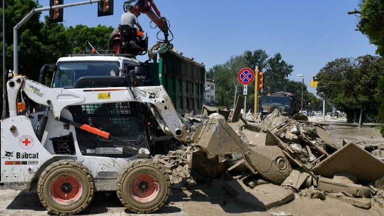 Forlì, rimozione dei rifiuti: nuovi mezzi Forlì, rimozione dei rifiuti: nuovi mezzi