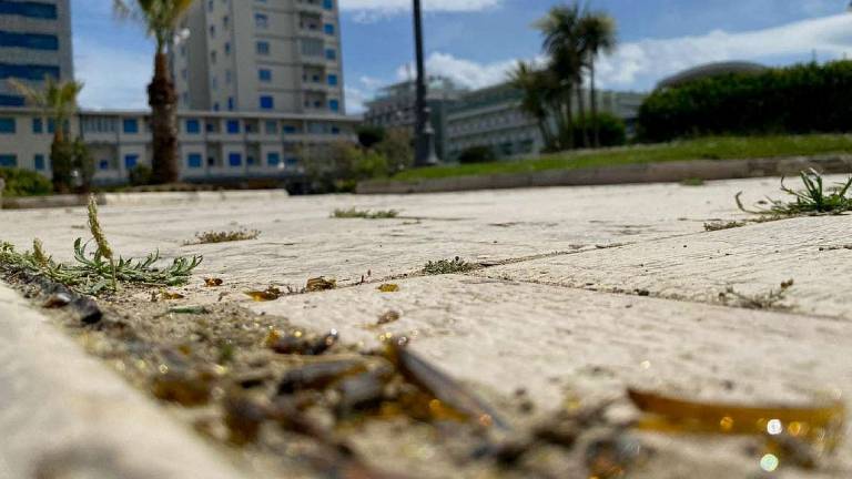 Cesenatico campo di battaglia: vetri rotti da 300 ragazzini in piazza Costa Cesenatico campo di battaglia: vetri rotti da 300 ragazzini in piazza Costa