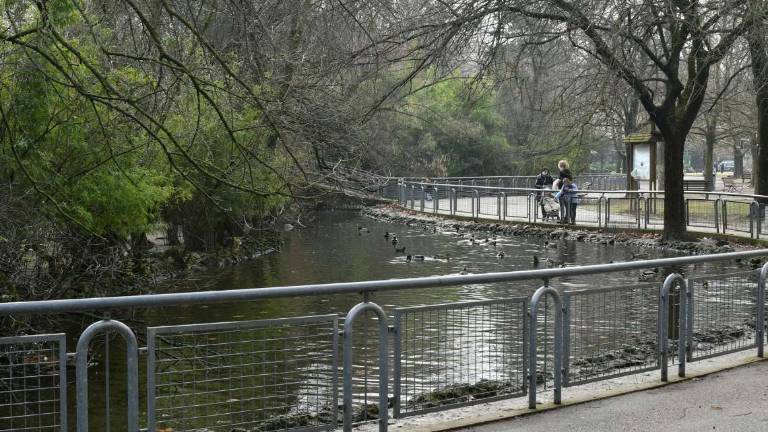 Forlì. Giardini pubblici, fine lavori: nasce anche un labirinto Forlì. Giardini pubblici, fine lavori: nasce anche un labirinto