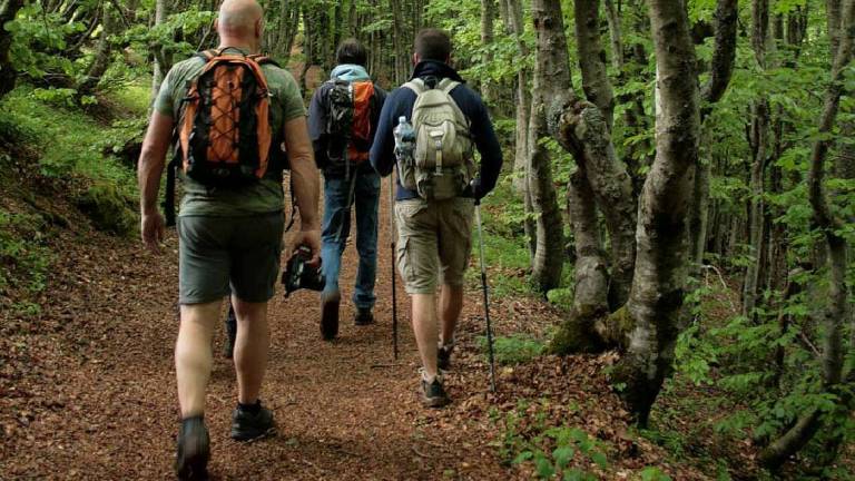 Il verde romagnolo al centro del mondo Il verde romagnolo al centro del mondo