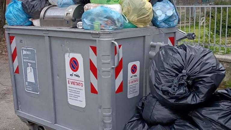Dozza, cucciolo di cane nella spazzatura: salvato dai carabinieri Dozza, cucciolo di cane nella spazzatura: salvato dai carabinieri