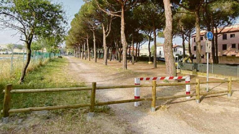 Cesenatico, invasione d'auto in pineta fermata con una staccionata Cesenatico, invasione d'auto in pineta fermata con una staccionata