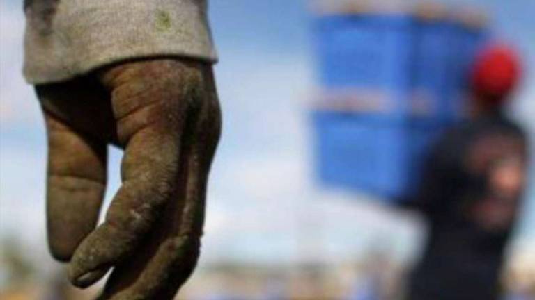Il caporalato a Cesena vantava crediti per 2 milioni dalle aziende Il caporalato a Cesena vantava crediti per 2 milioni dalle aziende