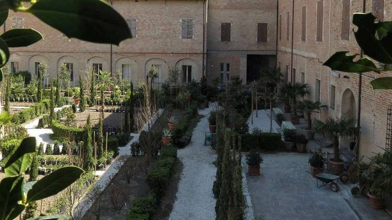 Imola, rinasce il giardino del Vescovado Imola, rinasce il giardino del Vescovado