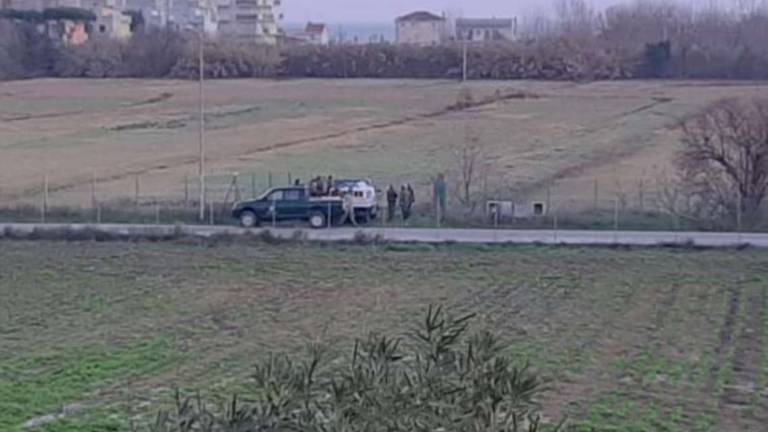 Rimini. Cani e urla: a Viserba la cattura delle lepri accende le polemiche Rimini. Cani e urla: a Viserba la cattura delle lepri accende le polemiche