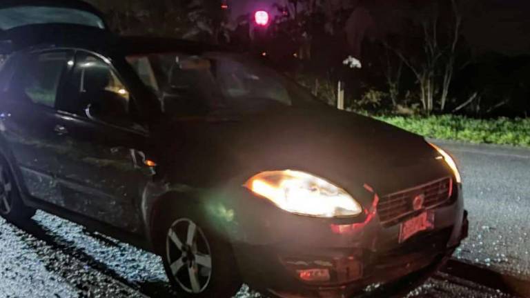 Ravenna, daini causano incidente. Cinque feriti tra cui una bimba Ravenna, daini causano incidente. Cinque feriti tra cui una bimba