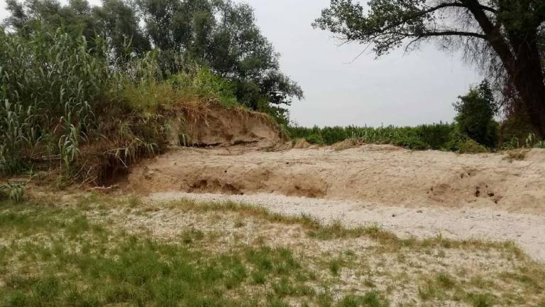 Forlì: Abbiamo tolto il fango da soli dalle case e nessuno ci dice come rimuoverlo Forlì: Abbiamo tolto il fango da soli dalle case e nessuno ci dice come rimuoverlo