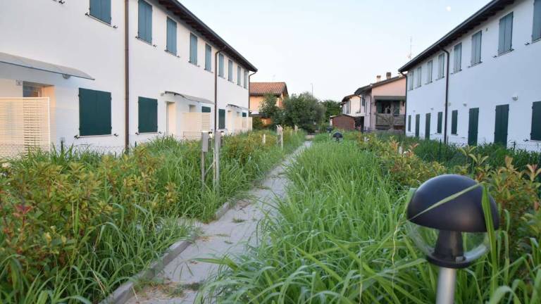 Filetto, Comune di Ravenna battuto al Tar dagli autocostruttori Filetto, Comune di Ravenna battuto al Tar dagli autocostruttori