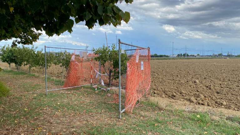 Cesena: doppio ritrovamento di ordigni bellici Cesena: doppio ritrovamento di ordigni bellici