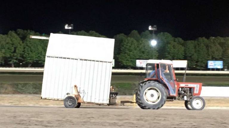 Cesena, la cavalla morta all'ippodromo. L'associazione Horse Angels chiede inchiesta e autopsia Cesena, la cavalla morta all'ippodromo. L'associazione Horse Angels chiede inchiesta e autopsia