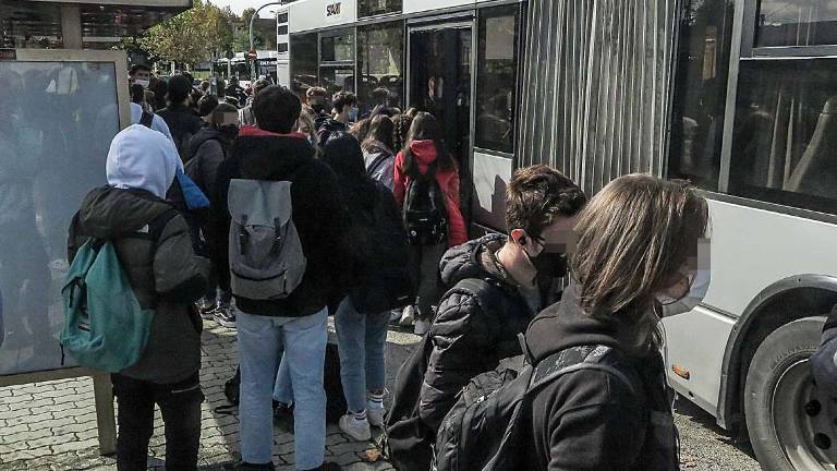 Rimini, l'appello: maniaco sul bus, chi ha subito molestie denunci Rimini, l'appello: maniaco sul bus, chi ha subito molestie denunci