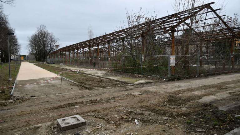 Forlì. Lavori pubblici, mancano 30 milioni. Il Comune fa un mutuo Forlì. Lavori pubblici, mancano 30 milioni. Il Comune fa un mutuo