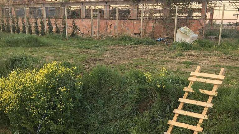 San Mauro, «irregolarità» nel cantiere dell'allevamento polli San Mauro, «irregolarità» nel cantiere dell'allevamento polli
