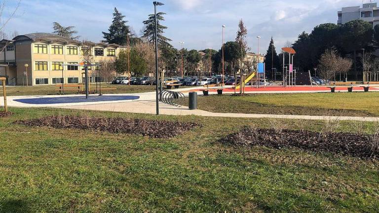 Cesena: caccia alla nuova ditta per costruire il Novello Cesena: caccia alla nuova ditta per costruire il Novello