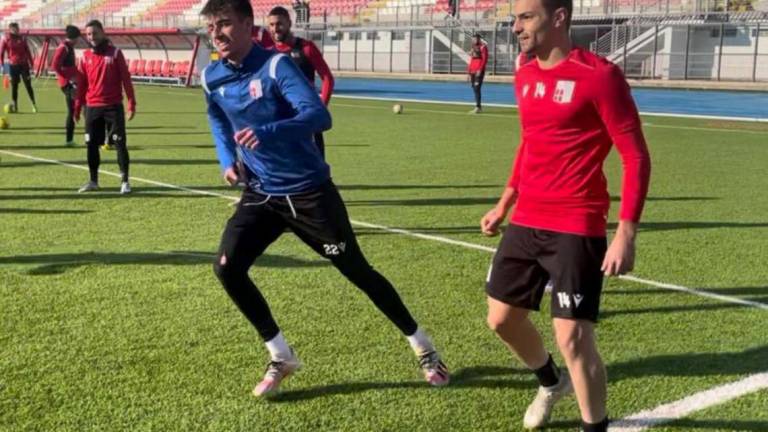 Calcio C, Rimini e la carica di Biondi: Io sono pronto Calcio C, Rimini e la carica di Biondi: Io sono pronto