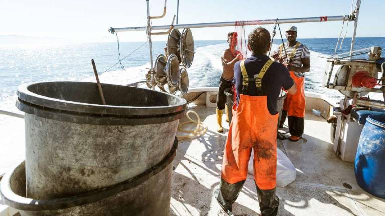 Cesenatico: al lavoro per liberare il mare dalla plastica Cesenatico: al lavoro per liberare il mare dalla plastica