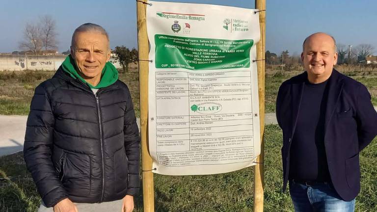 Savignano, parco Valle Ferrovia: il bosco promesso non si vede Savignano, parco Valle Ferrovia: il bosco promesso non si vede