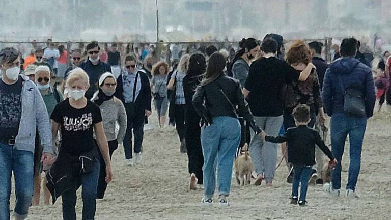 Federconsumatori Rimini: Concessioni spiagge, bisogna mettere al centro i cittadini Federconsumatori Rimini: Concessioni spiagge, bisogna mettere al centro i cittadini