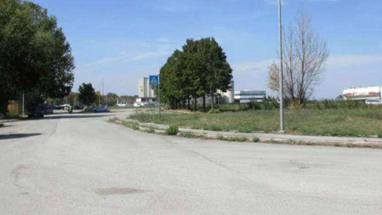 Savignano, troppi vandalismi di notte sui bus: il deposito trasloca Savignano, troppi vandalismi di notte sui bus: il deposito trasloca