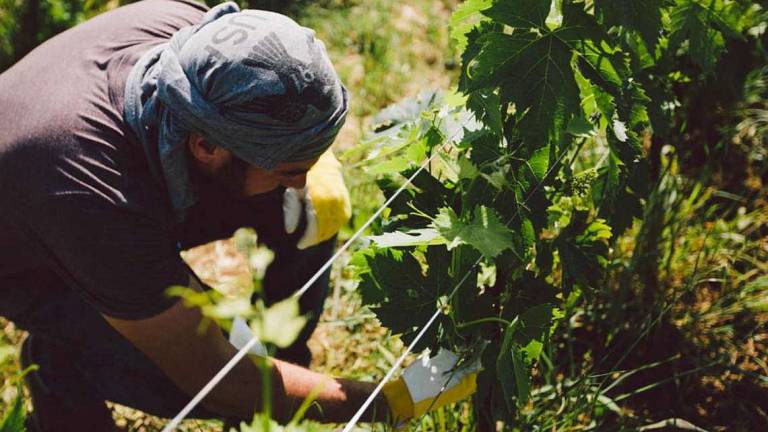 Emilia-Romagna, la Regione stringe un patto per la salute e la sicurezza sul lavoro Emilia-Romagna, la Regione stringe un patto per la salute e la sicurezza sul lavoro