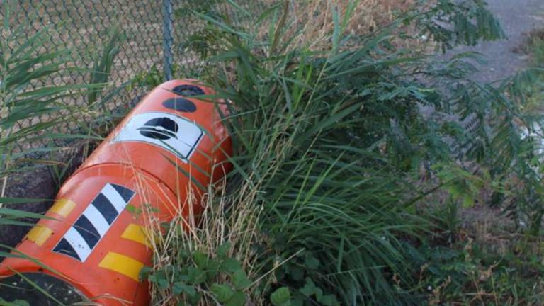Savignano, i vandali abbattono un Velo Ok Savignano, i vandali abbattono un Velo Ok